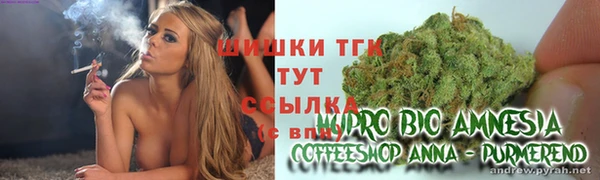 круглые Аркадак