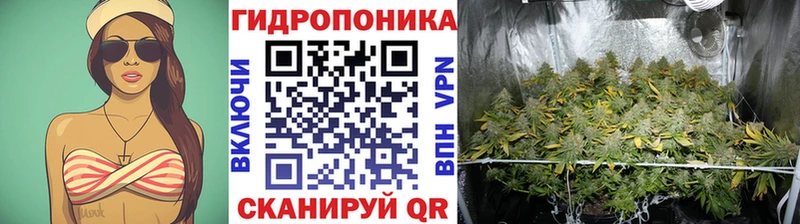 Марихуана марихуана  Бавлы 